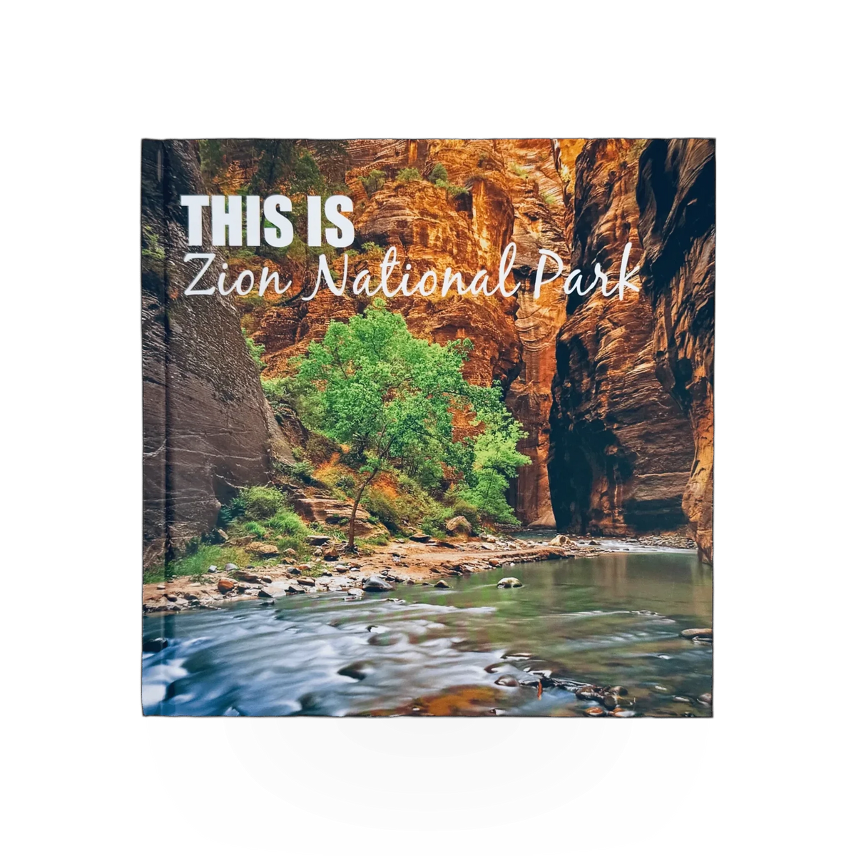 This Is Zion book by Park Partners, a hardcover publication with scenic Zion National Park images on the cover.