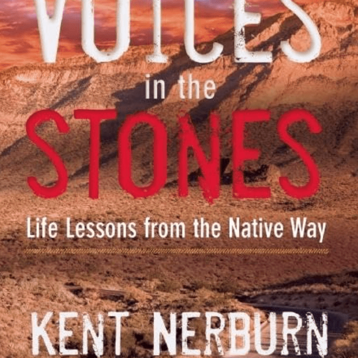 Book - Voices In The Stones - Zion Natl Park Forever Project