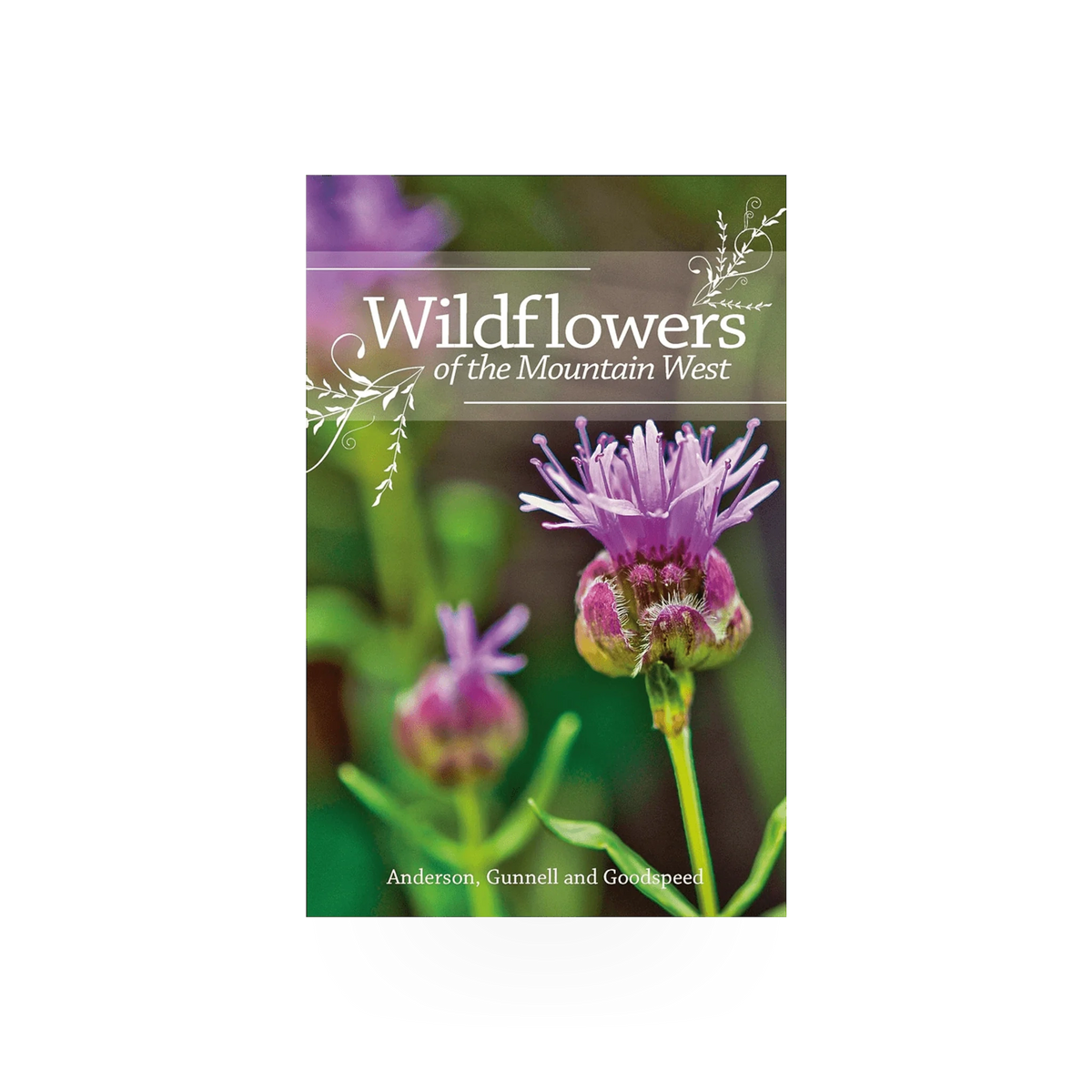 Wildflowers of Mountain West book by Chicago Distribution Center, featuring colorful illustrations of native mountain wildflowers.