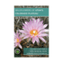 Book - Wildflowers Of Utah's Colorado Plateau - Zion Natl Park Forever Project
