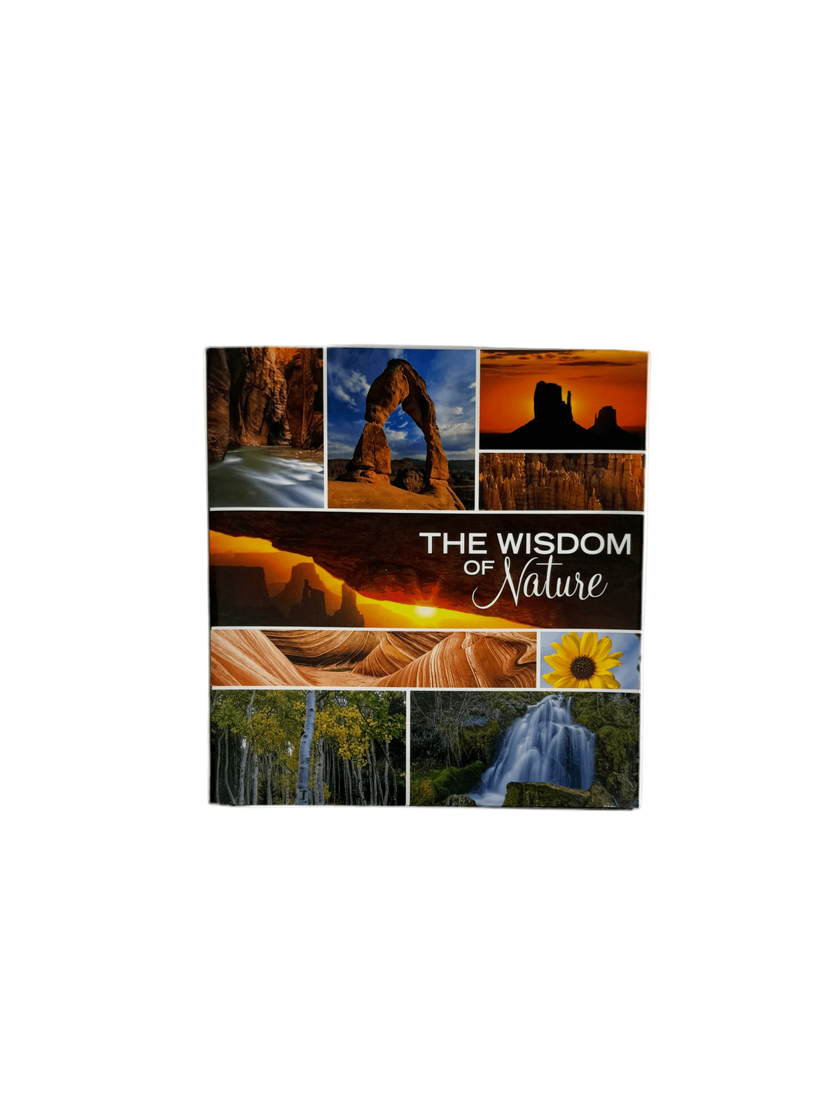 Open book titled "Wisdom of Nature" by Park Partners featuring nature-inspired illustrations on the pages.