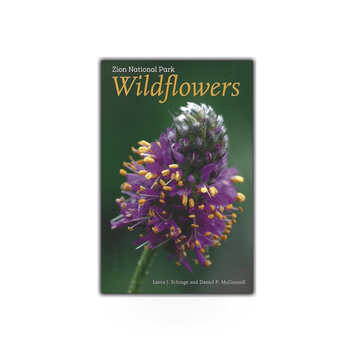 Zion National Park Wildflowers book by ZNHA featuring colorful images of native wildflowers in Zion National Park.