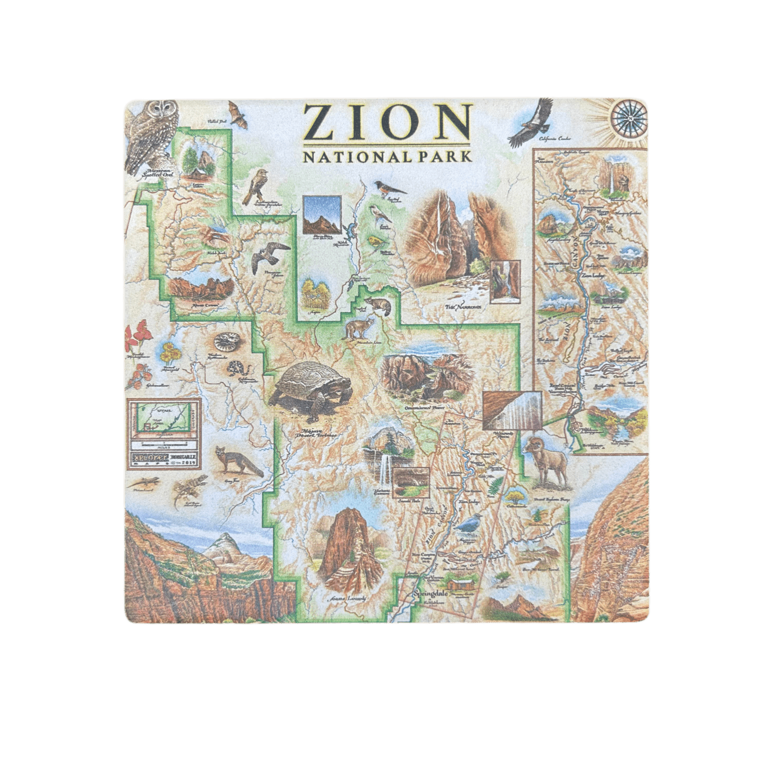 Coaster - Xplorer Zion - Zion Natl Park Forever Project