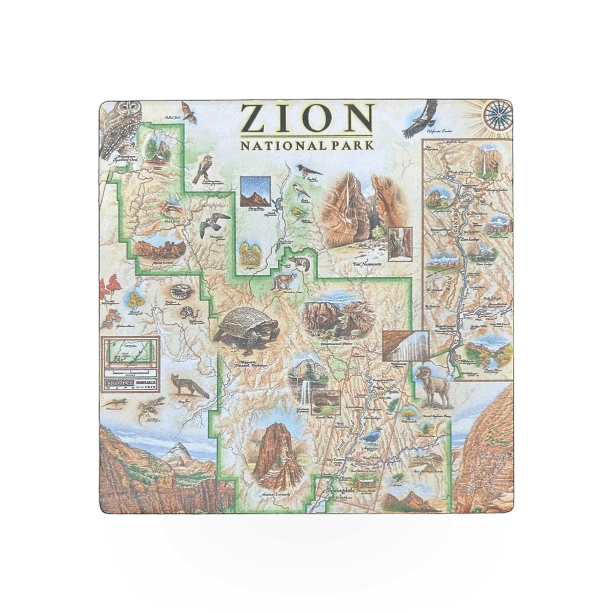 Xplorer Zion map-themed coaster with detailed topographic design, made by Xplorer Maps, suitable for protecting surfaces.