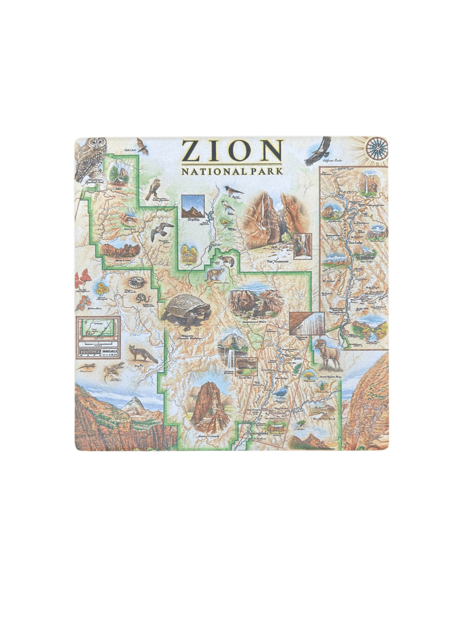 Coaster - Xplorer Zion - Zion Natl Park Forever Project