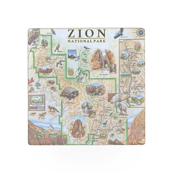 Xplorer Zion map-themed coaster with detailed topographic design, made by Xplorer Maps, suitable for protecting surfaces.