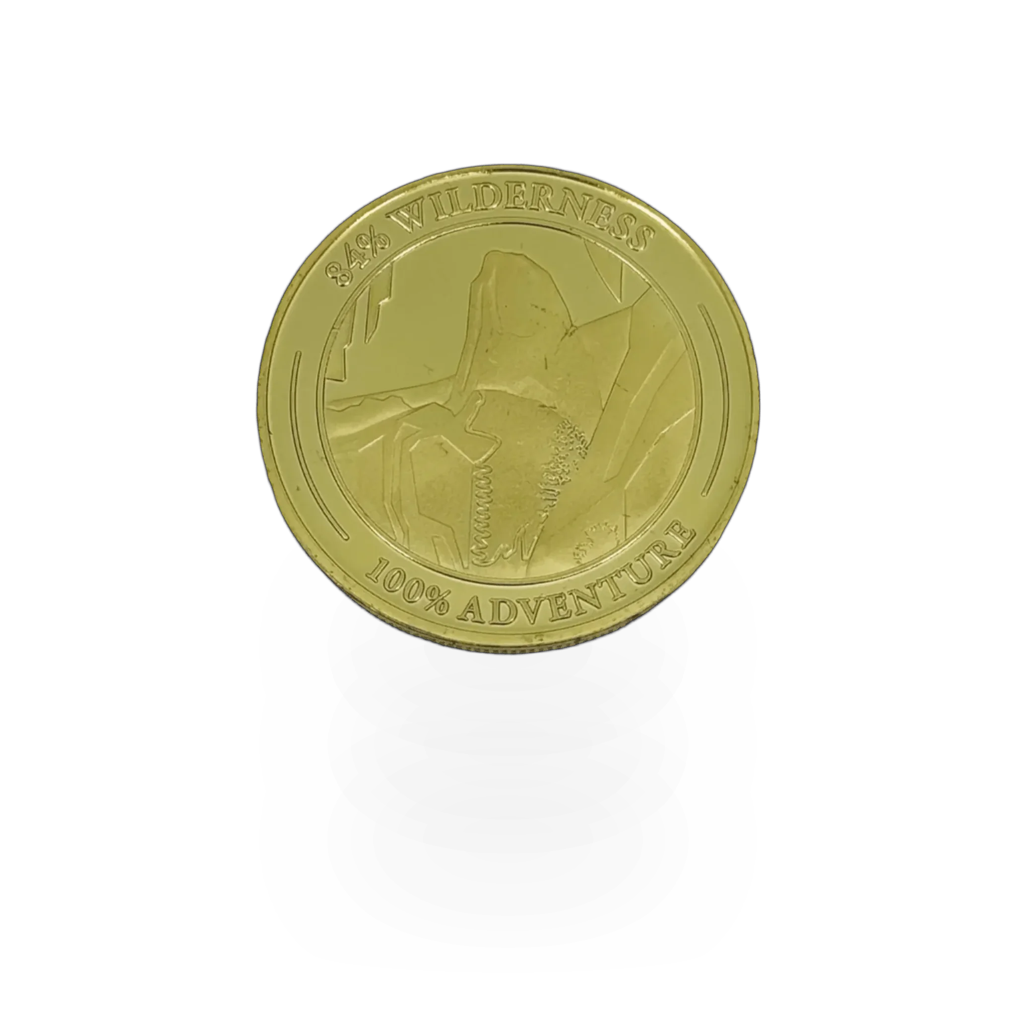 Gold Zion coin by Impact Photographics, showing detailed design and embossed text on a shiny gold surface.