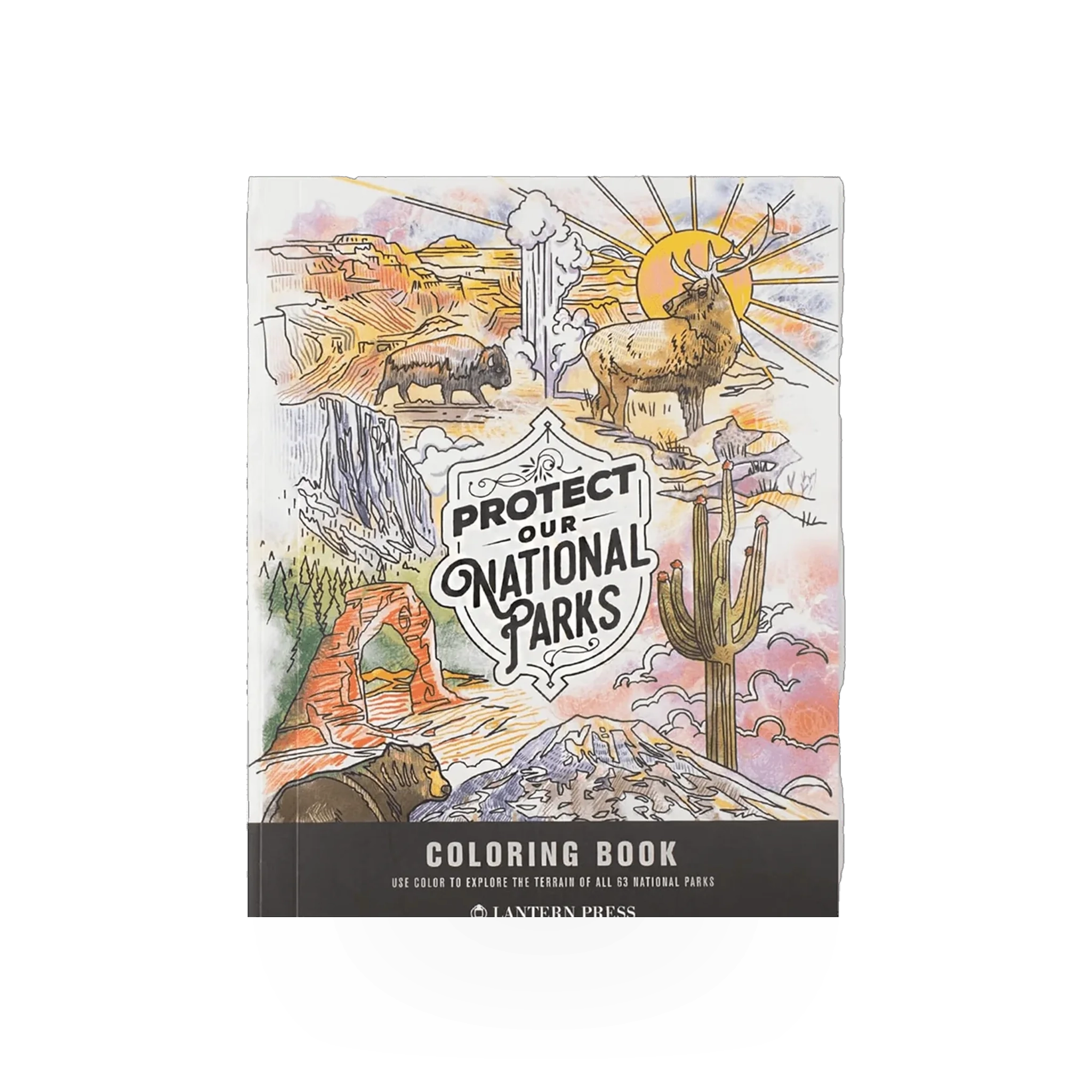 Coloring book titled "Protect Parks" by Lantern Press featuring outdoor park scenes for coloring.