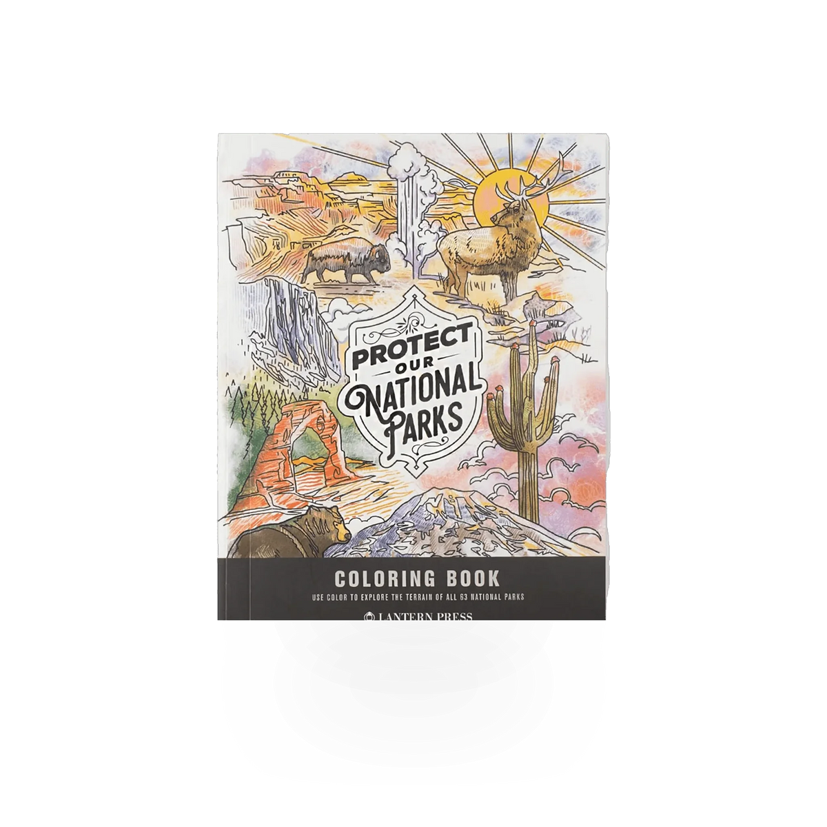 Coloring book titled "Protect Parks" by Lantern Press featuring outdoor park scenes for coloring.