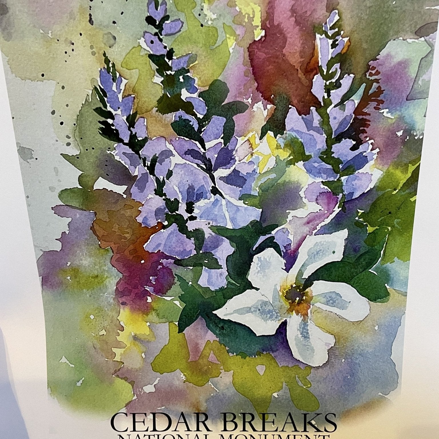 Donation - Wildflower Poster - Zion Natl Park Forever Project