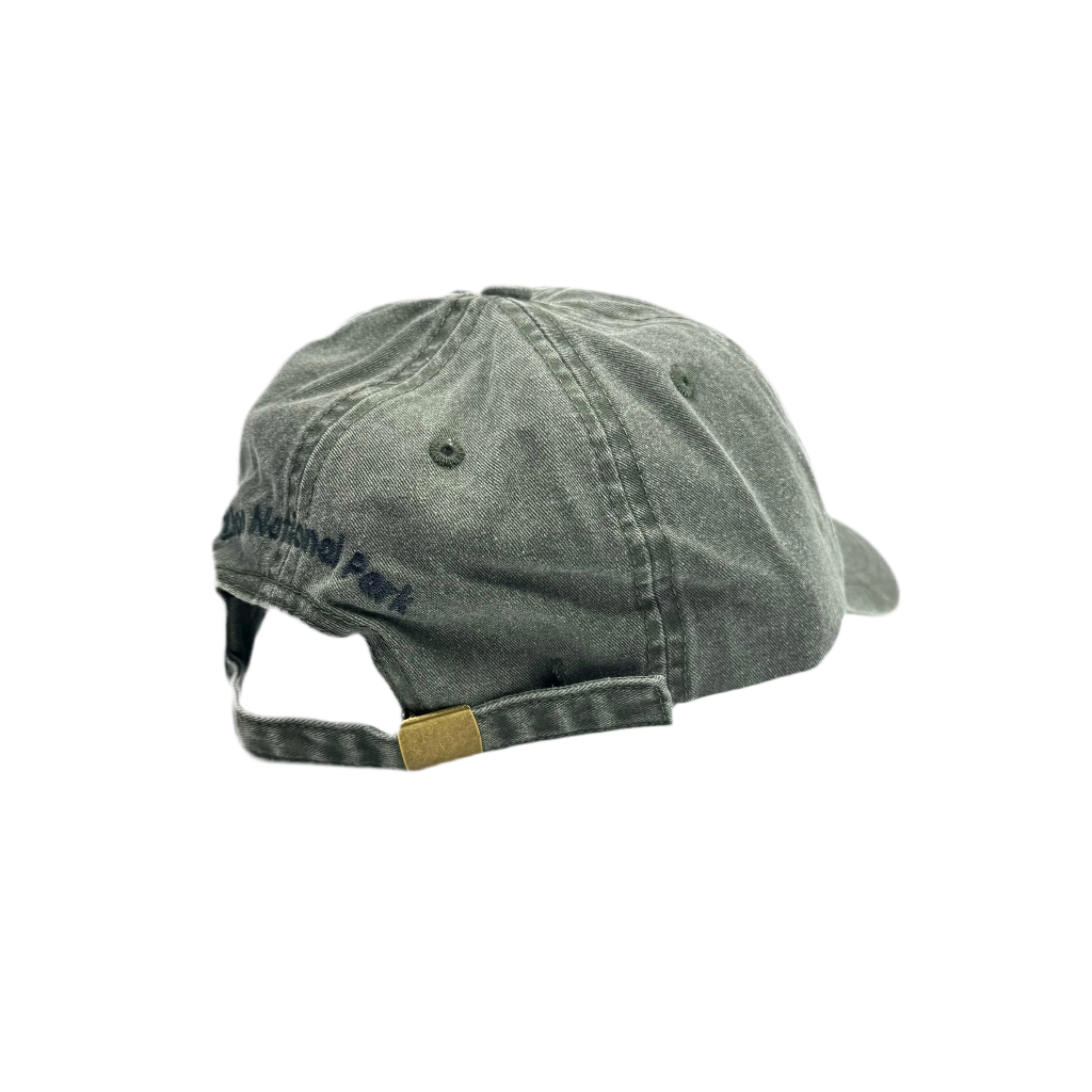 Hat - Zion Dragonfly - Zion Natl Park Forever Project