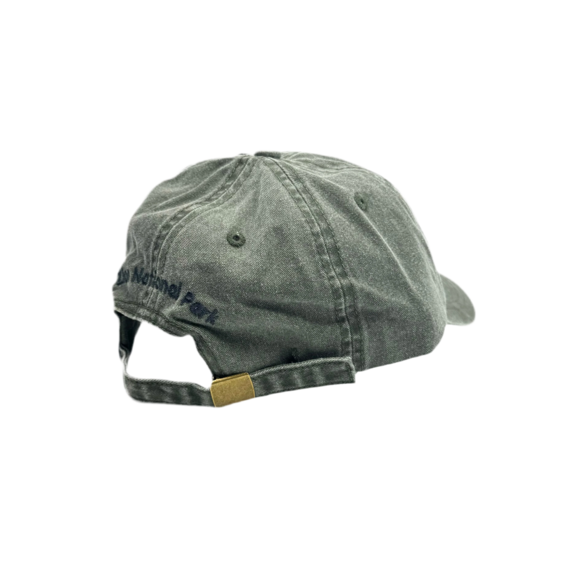 Hat - Zion Dragonfly - Zion Natl Park Forever Project
