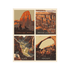 Fabric - Prints 4 Panel Set - Zion Natl Park Forever Project
