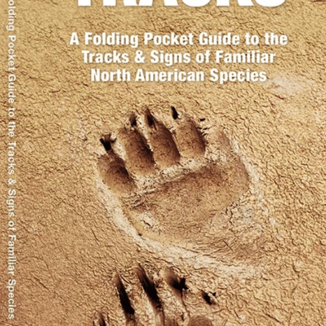Folding - Pocket Nat Guide - Animal Tracks - Zion Natl Park Forever Project