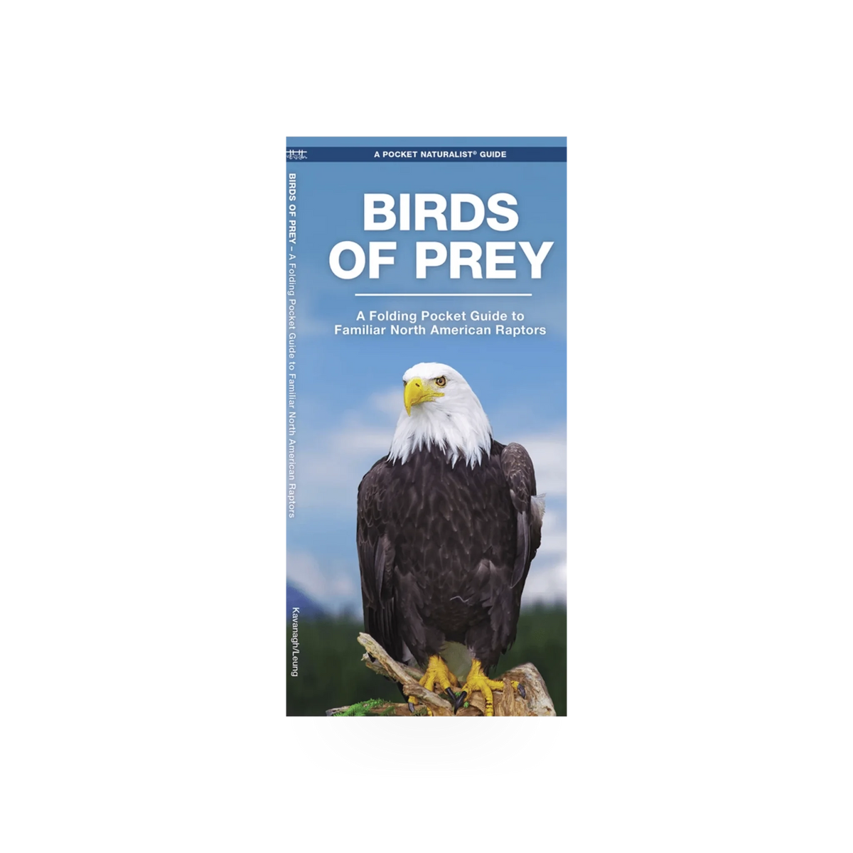 Folding pocket NAT guide for birds of prey by Simon & Schuster, showing detailed illustrations of raptors on a compact folding card.