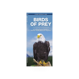 Folding pocket NAT guide for birds of prey by Simon & Schuster, showing detailed illustrations of raptors on a compact folding card.