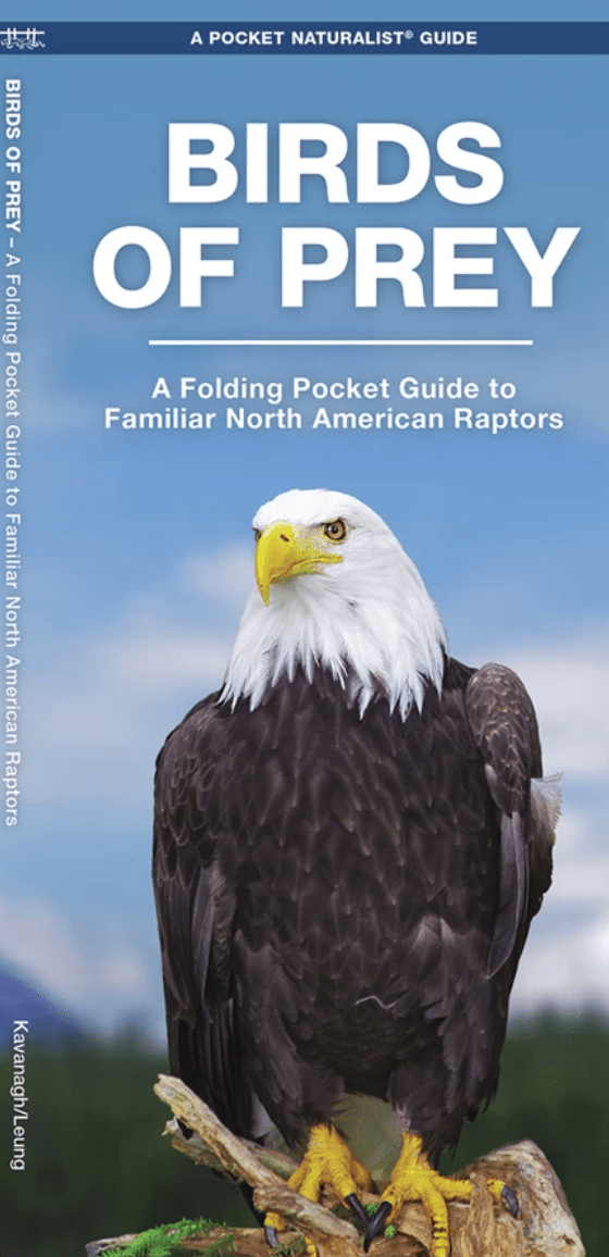 Folding - Pocket Nat Guide - Birds Prey - Zion Natl Park Forever Project