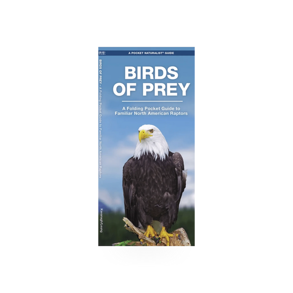 Folding pocket NAT guide for birds of prey by Simon & Schuster, showing detailed illustrations of raptors on a compact folding card.