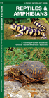 Folding - Pocket Nat Guide - Reptile Amphibian - Zion Natl Park Forever Project