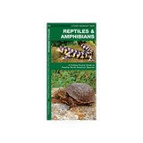 Folding pocket NAT guide by Simon & Schuster featuring reptiles and amphibians, with illustrations and identification details.
