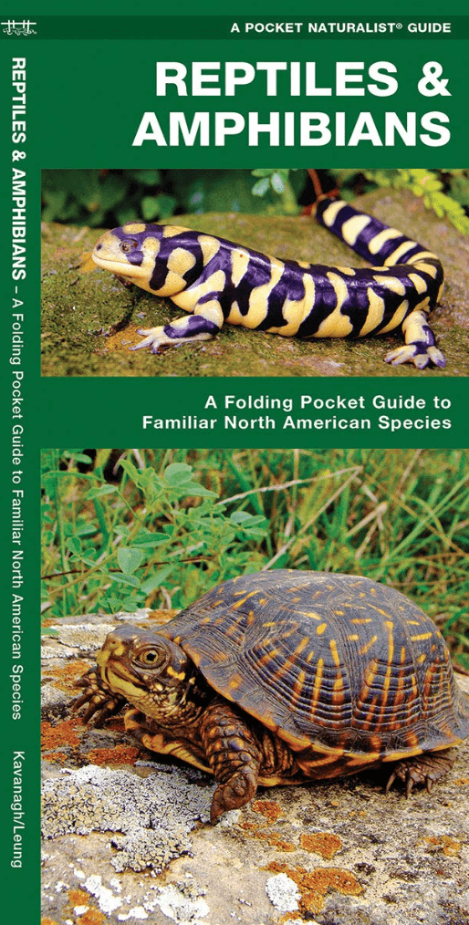 Folding - Pocket Nat Guide - Reptile Amphibian - Zion Natl Park Forever Project