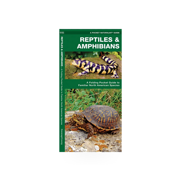 Folding pocket NAT guide by Simon & Schuster featuring reptiles and amphibians, with illustrations and identification details.