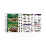 Folding pocket guide to reptiles and amphibians by Simon & Schuster, featuring images and identification tips for reptiles and amphibians.