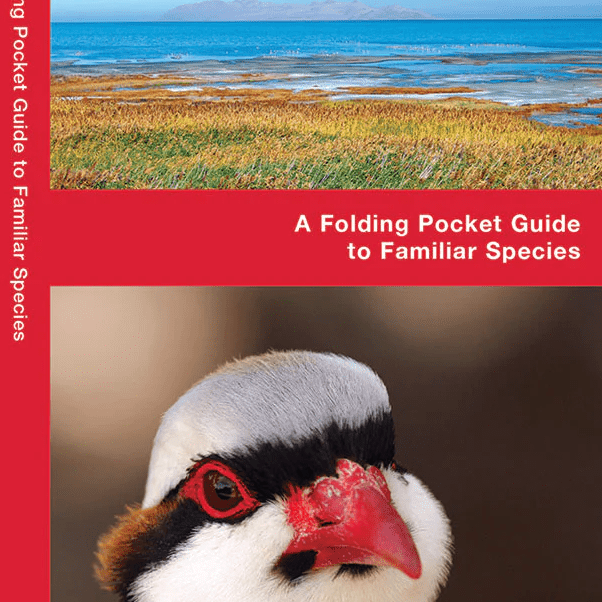 Folding - Pocket Nat Guide - Utah Birds - Zion Natl Park Forever Project