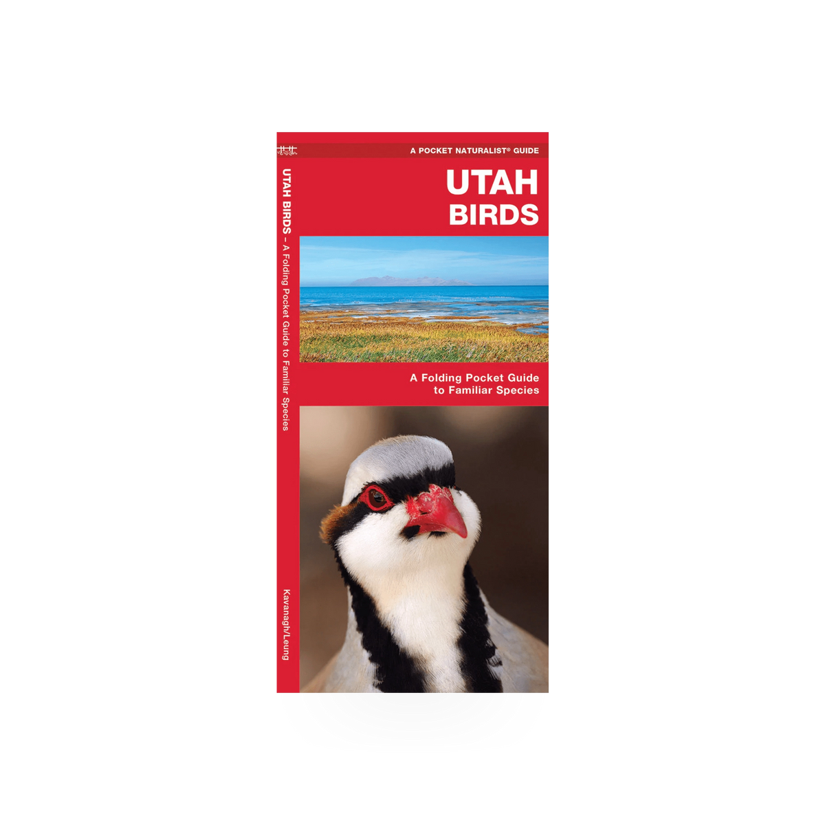 Folding pocket guide to Utah birds showing colorful illustrations and bird names, by Simon & Schuster.