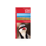 Folding pocket guide to Utah birds showing colorful illustrations and bird names, by Simon & Schuster.