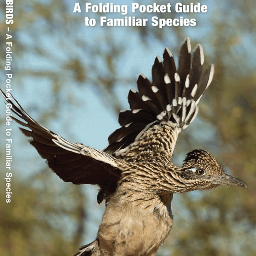 Folding - Pocket Nat - SW Desert Birds - Zion Natl Park Forever Project