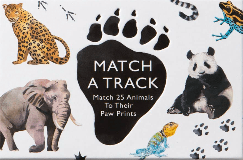 Game - Matching Animal Tracks - Zion Natl Park Forever Project
