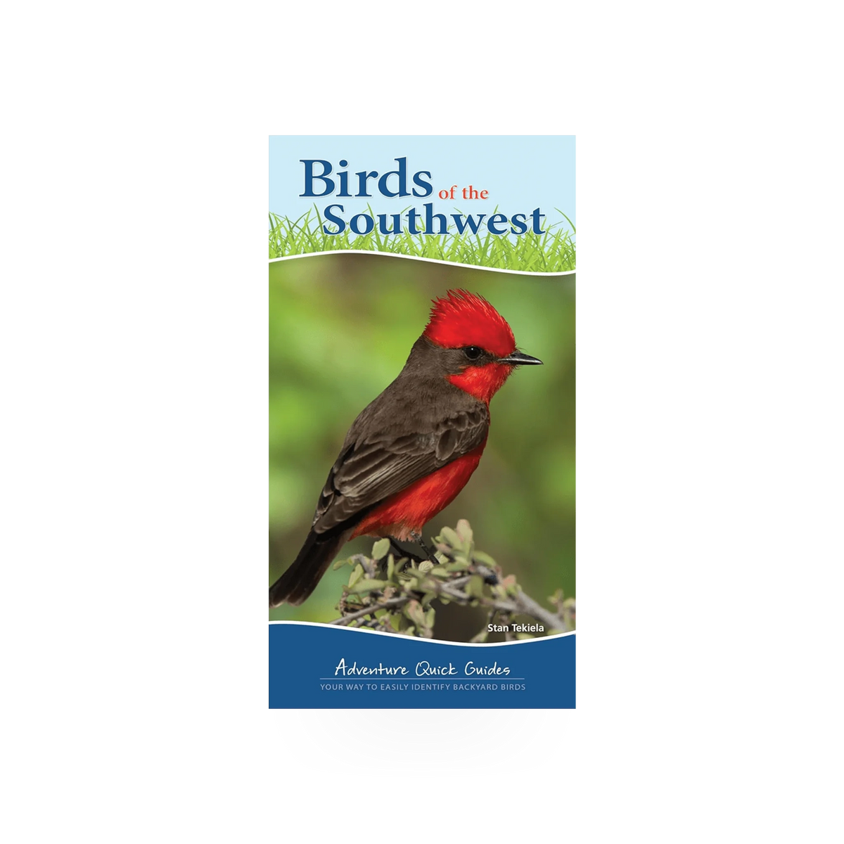 Birds of the Southwest quick guide by AdventureKeen, showing illustrated bird species on the cover of this compact field reference book.