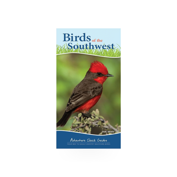 Birds of the Southwest quick guide by AdventureKeen, showing illustrated bird species on the cover of this compact field reference book.
