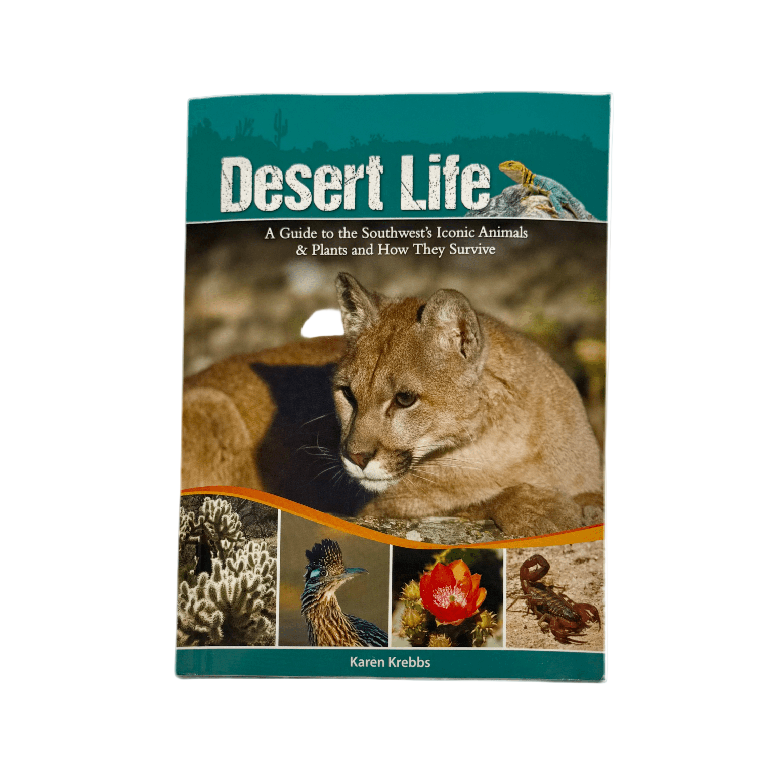 Guide - Desert Life Guide To SW Animal - Zion Natl Park Forever Project