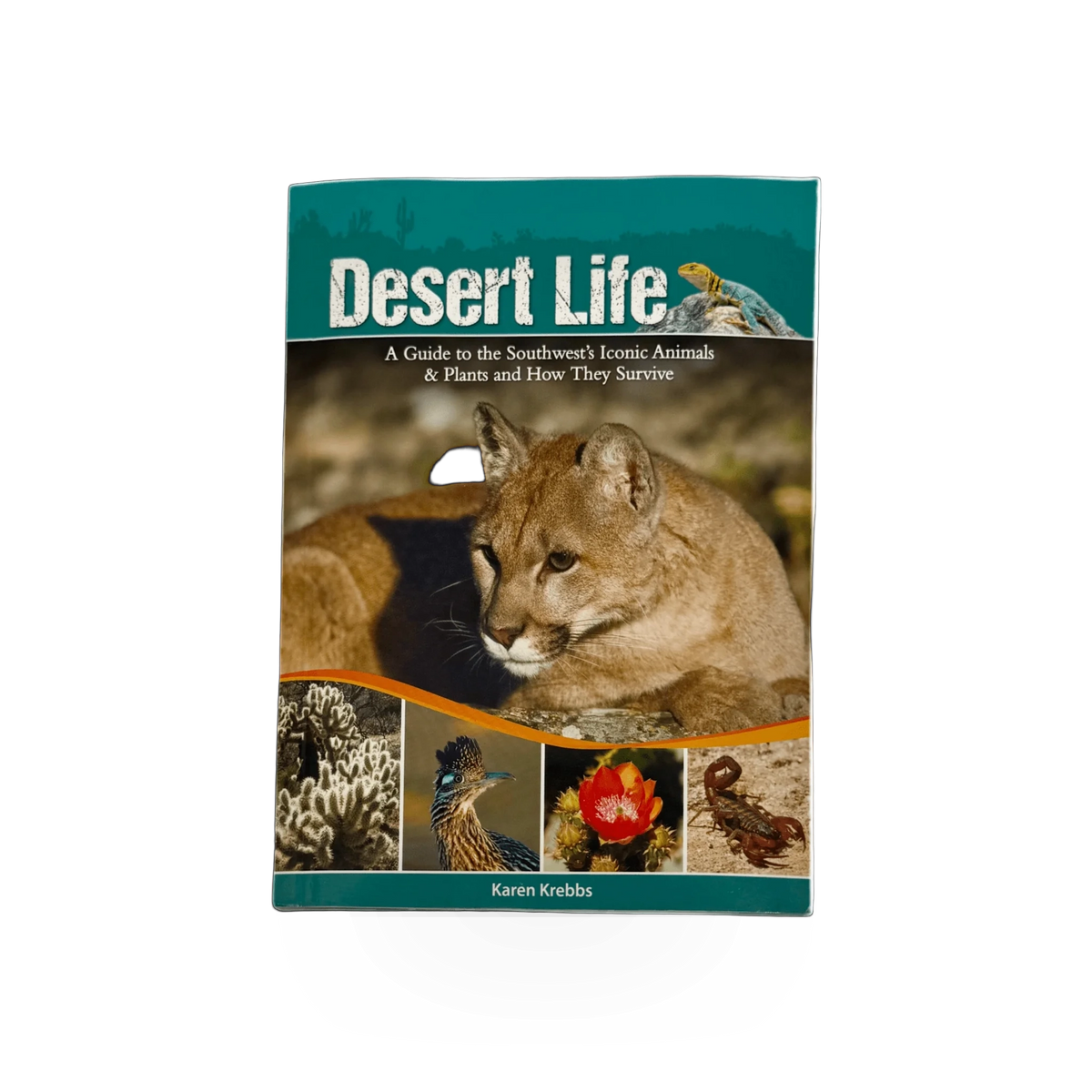 AdventureKeen Desert Life Guide to Southwest Animals book, featuring desert wildlife illustrations and informative wildlife descriptions.