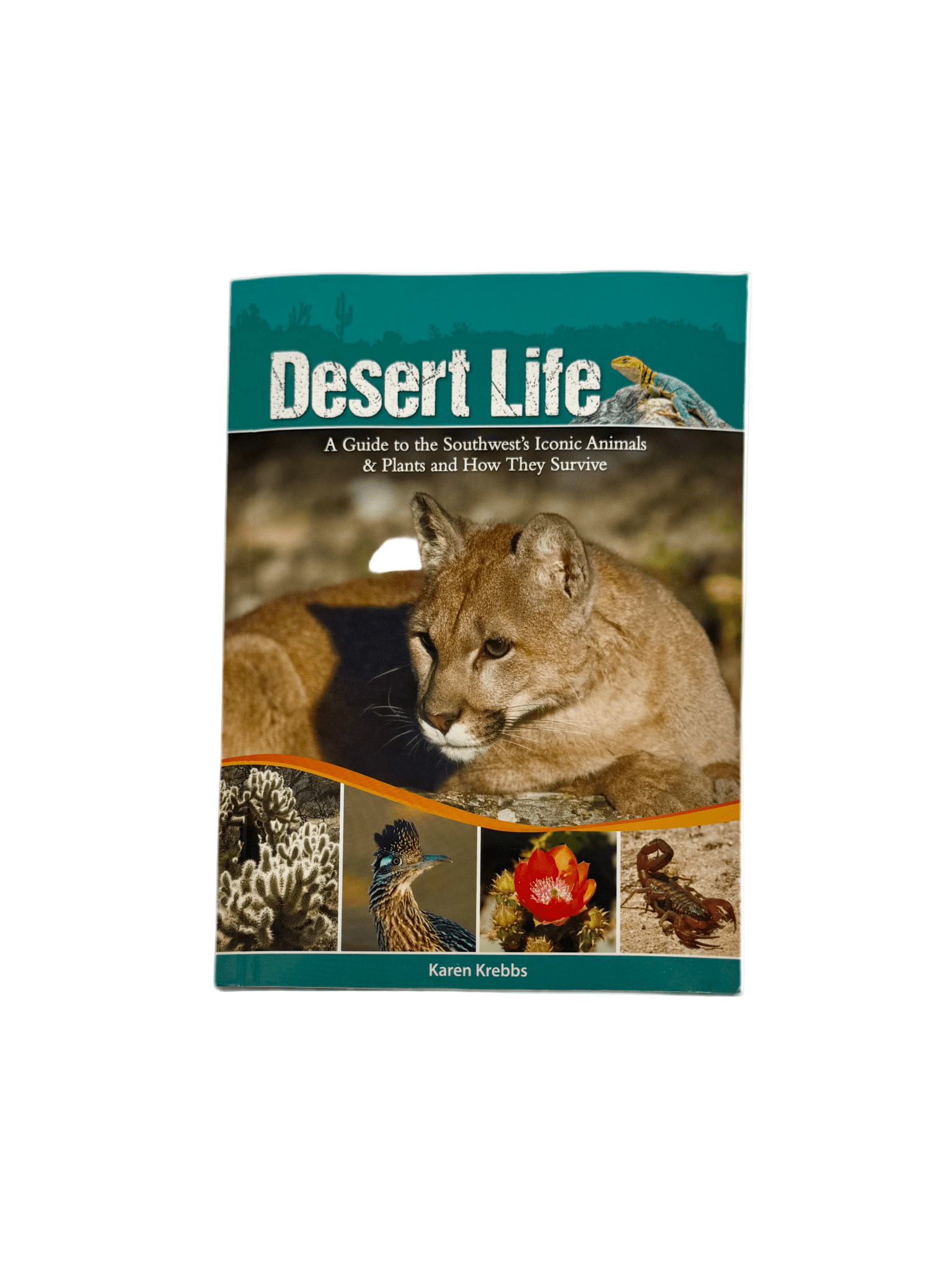 Guide - Desert Life Guide To SW Animal - Zion Natl Park Forever Project