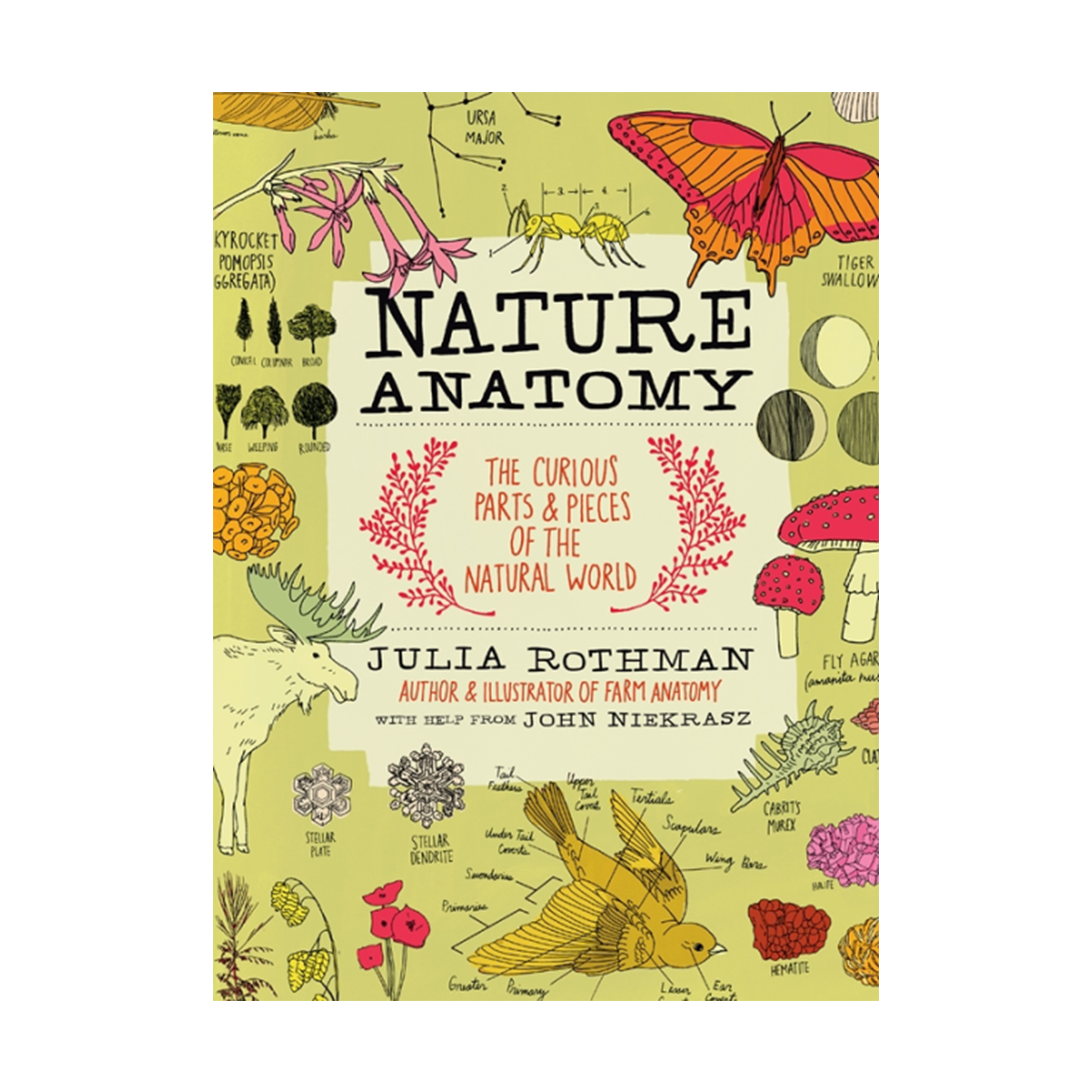 Book - Nature Anatomy - Zion Natl Park Forever Project