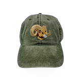 Eco Wear Bighorn themed hat featuring a wide brim and stylish design, perfect for outdoor wear and casual fashion.