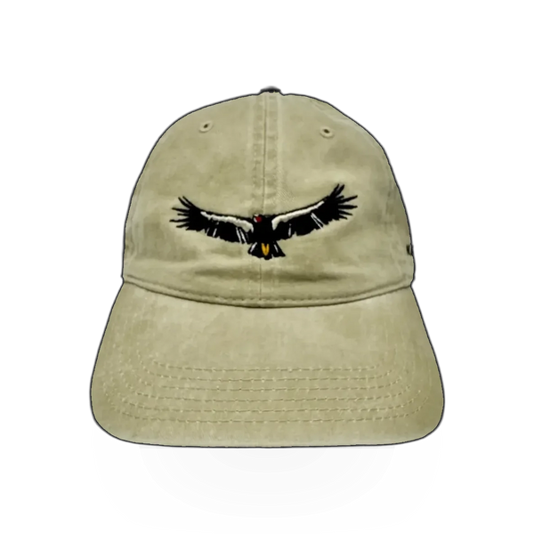 Black Condor themed hat by Concept 360, featuring adjustable strap and stylish design.