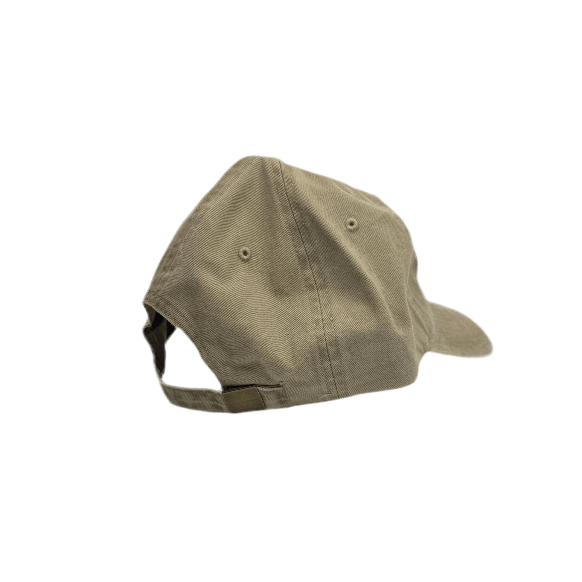 Hat - Condor - Zion Natl Park Forever Project