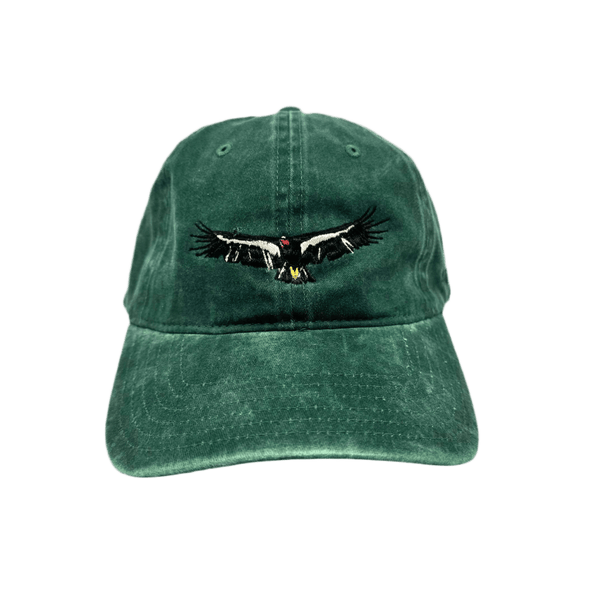 Hat - Condor - Zion Natl Park Forever Project