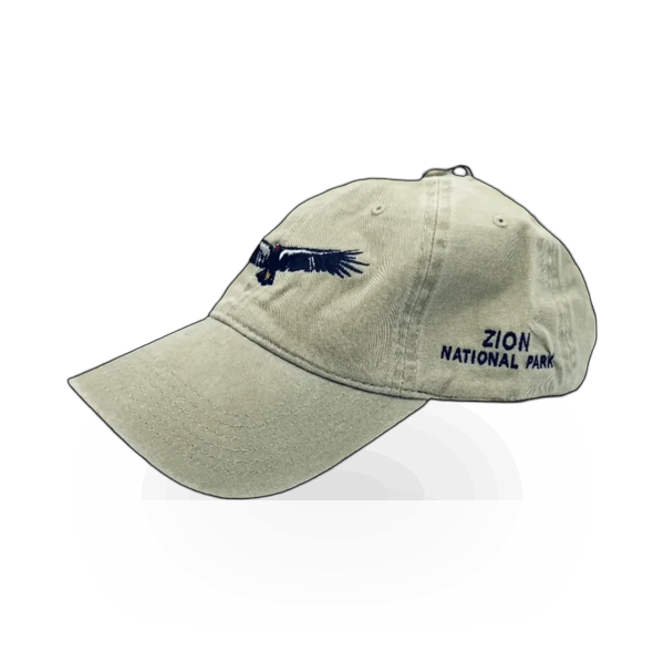 Concept 360 Condor theme hat featuring a stylish design and adjustable strap, perfect for casual wear.