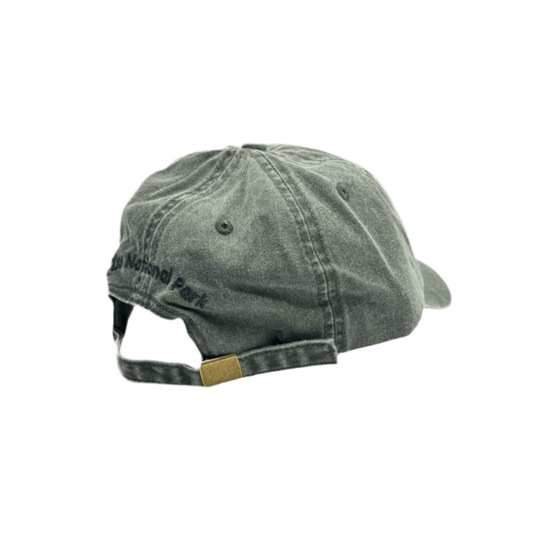 Hat - Zion Dragonfly - Zion Natl Park Forever Project