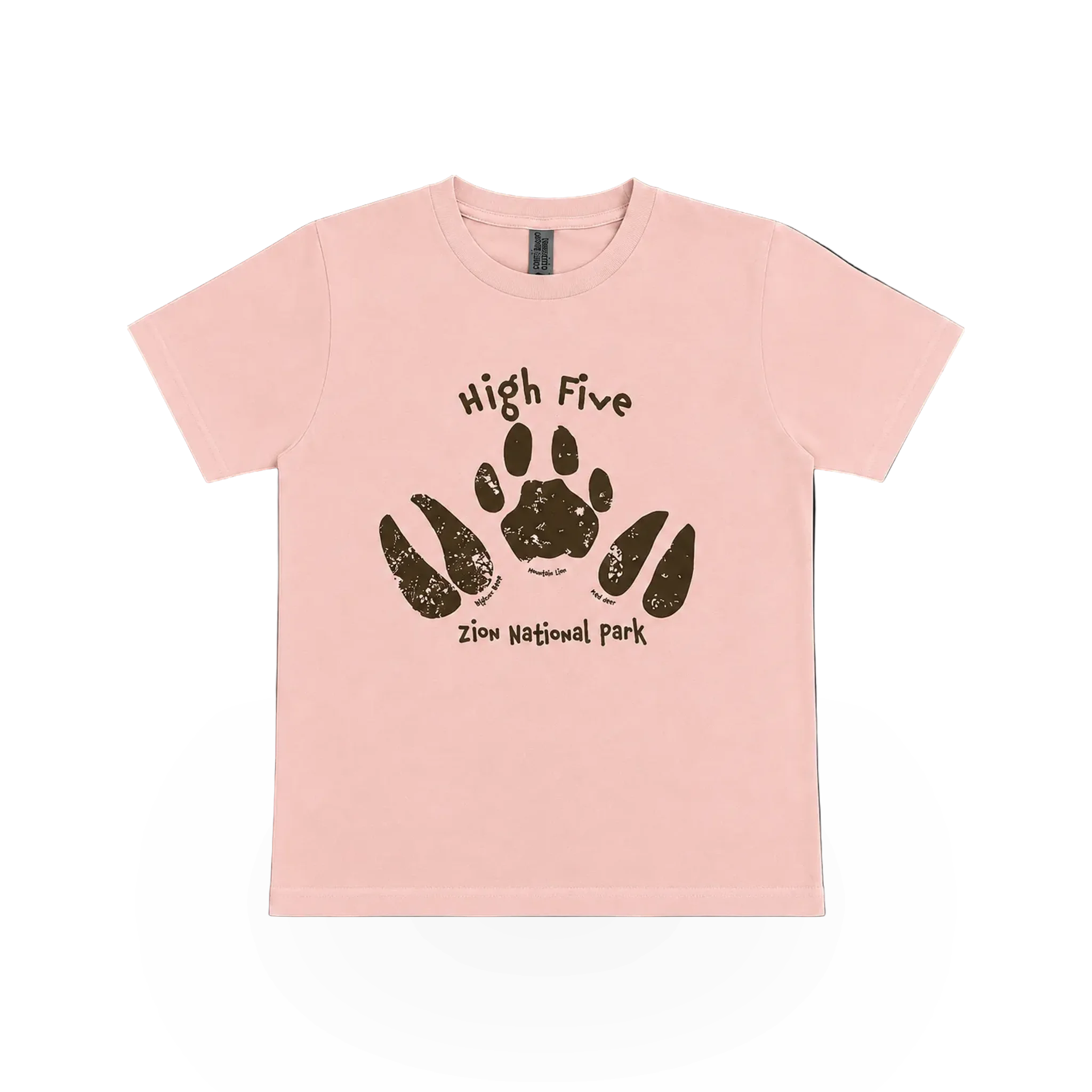 Tshirt - Yth High Five from Zion