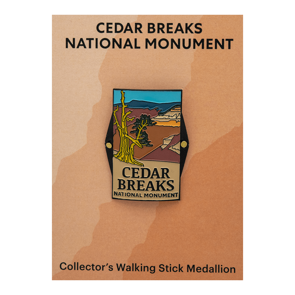 Hiking Stick Medallion - CEBR - Zion Natl Park Forever Project