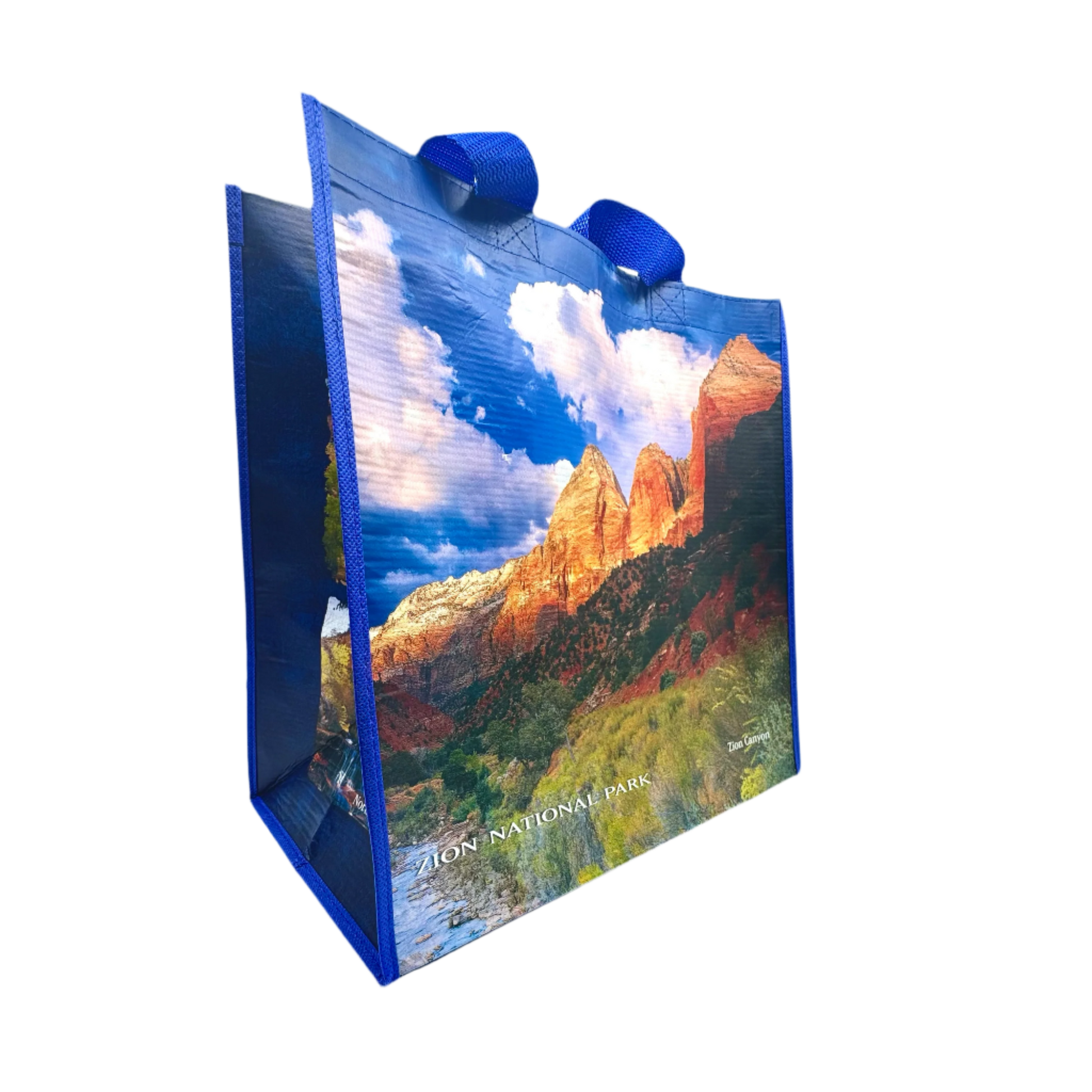 Tote - Zion SM - 72029-RBG1 - Zion Natl Park Forever Project
