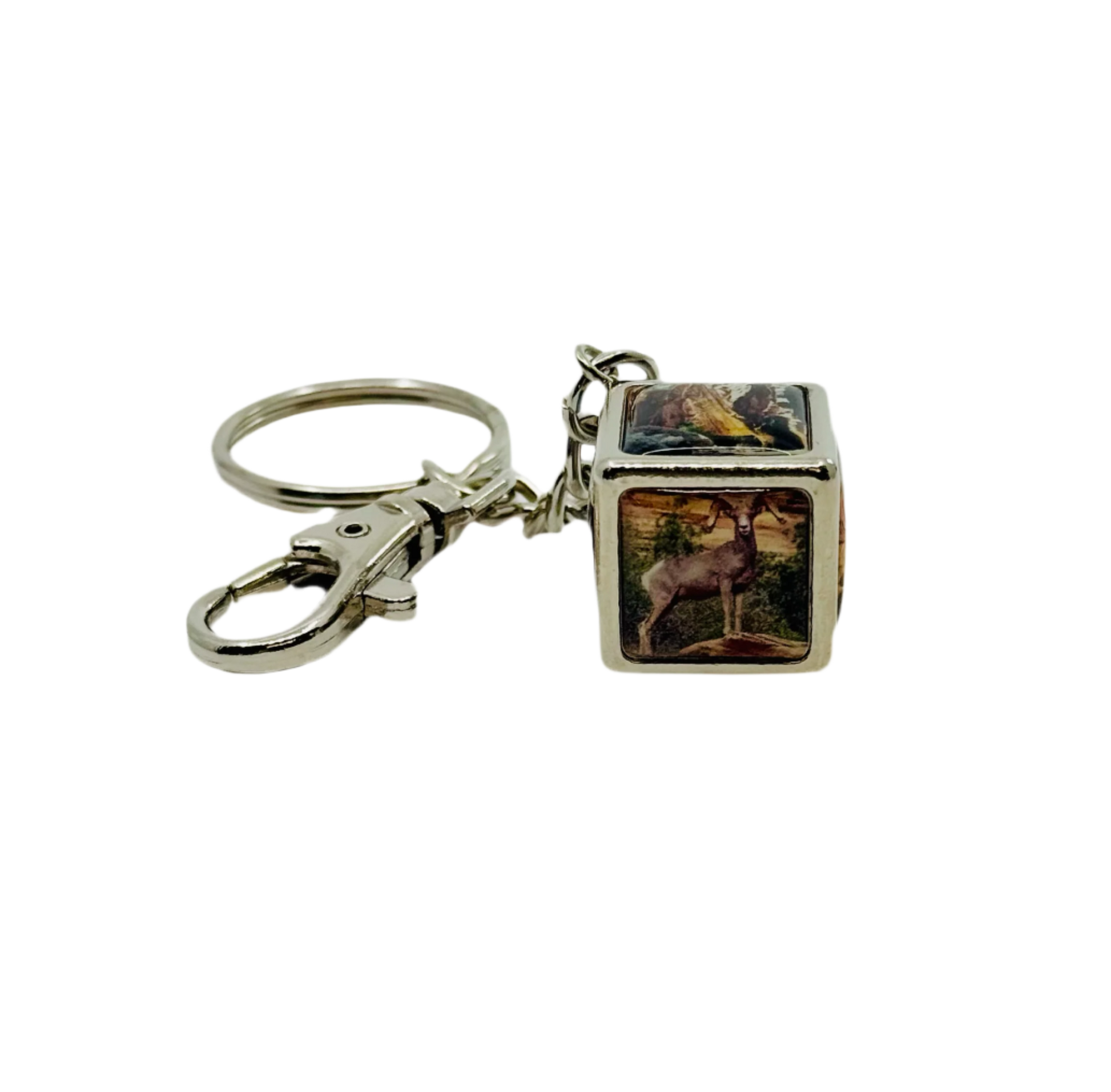 Keychain - Cube Zion - 43-CUK - Zion Natl Park Forever Project