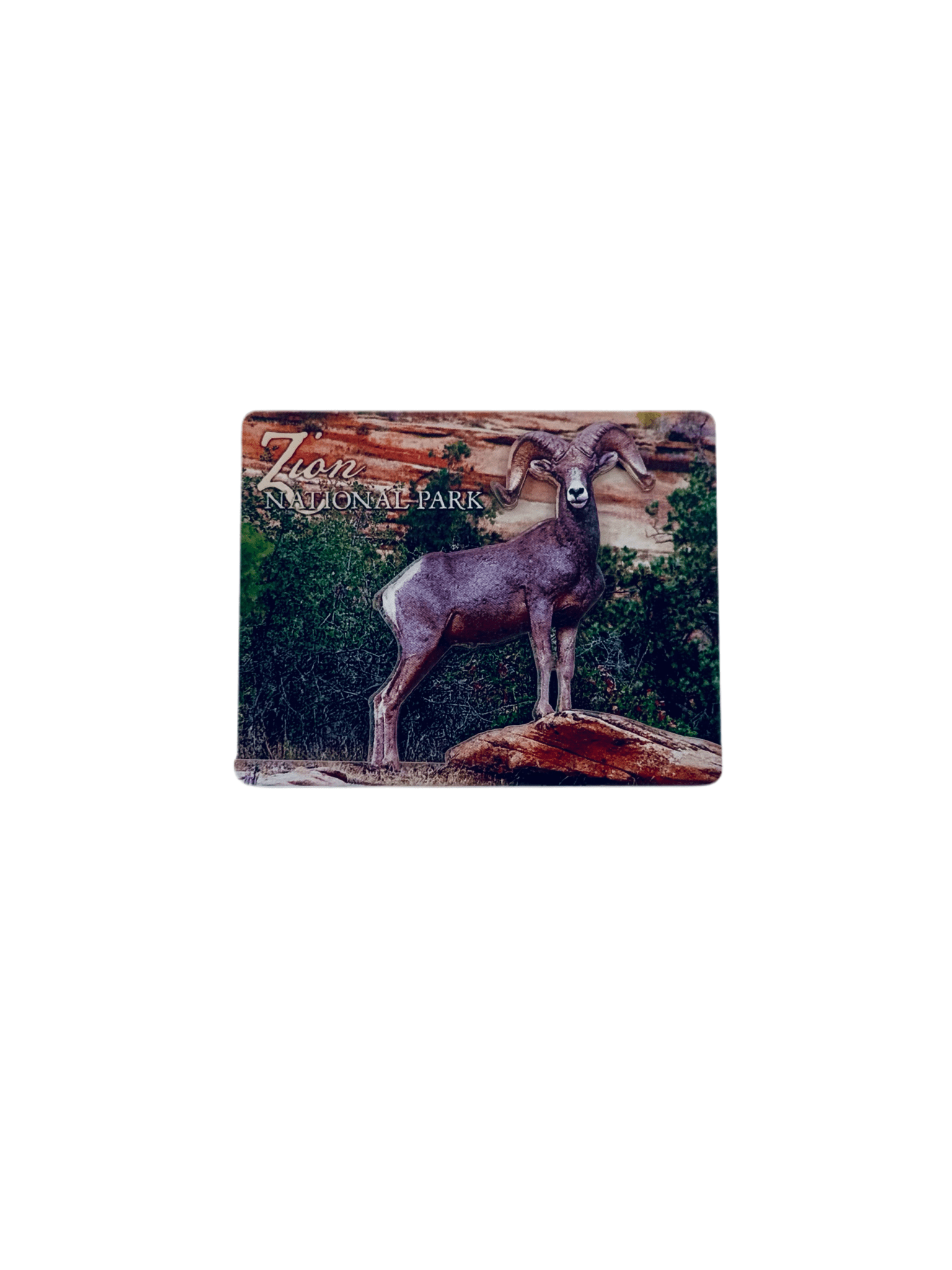 Magnet - 3D Various - Zion Natl Park Forever Project