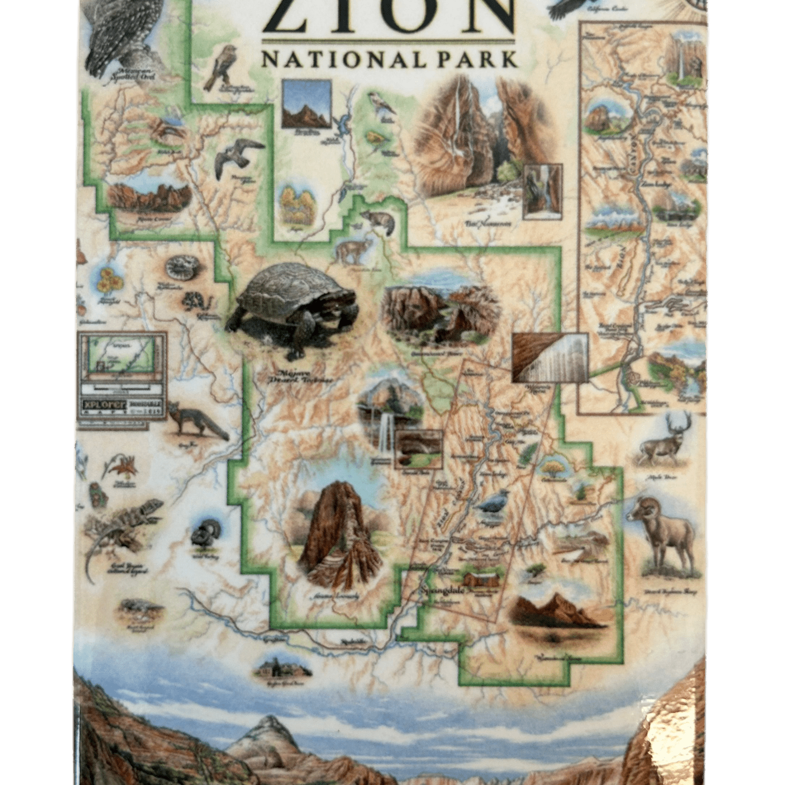 Magnet - Xplorer Zion Map - Zion Natl Park Forever Project